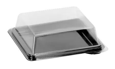 PET Schüssel ML2 - Platte / Deckel